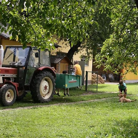 Bauernhof-Pension Puschnikhof Unternarrach エクステリア 写真