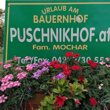 Bauernhof-Pension Puschnikhof Unternarrach エクステリア 写真