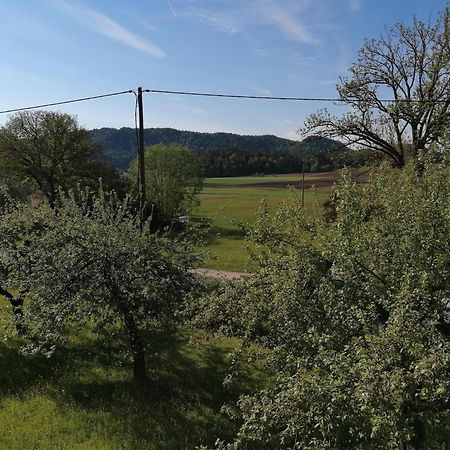 Bauernhof-Pension Puschnikhof Unternarrach エクステリア 写真