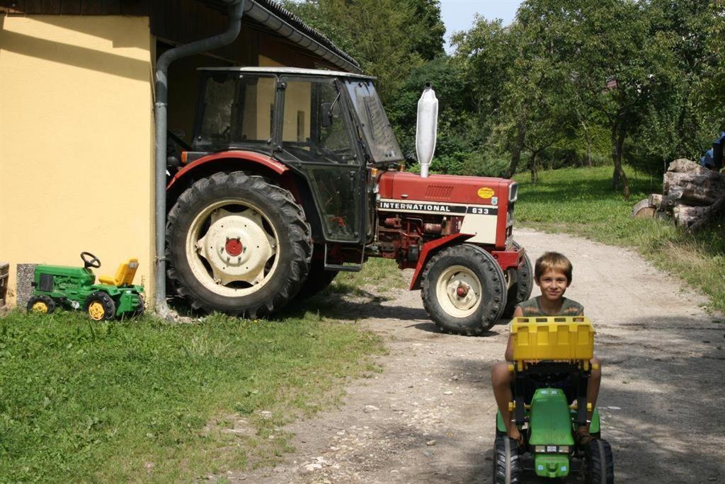 Bauernhof-Pension Puschnikhof Unternarrach エクステリア 写真