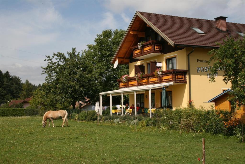 Bauernhof-Pension Puschnikhof Unternarrach エクステリア 写真