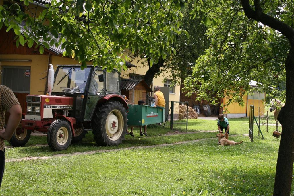 Bauernhof-Pension Puschnikhof Unternarrach エクステリア 写真