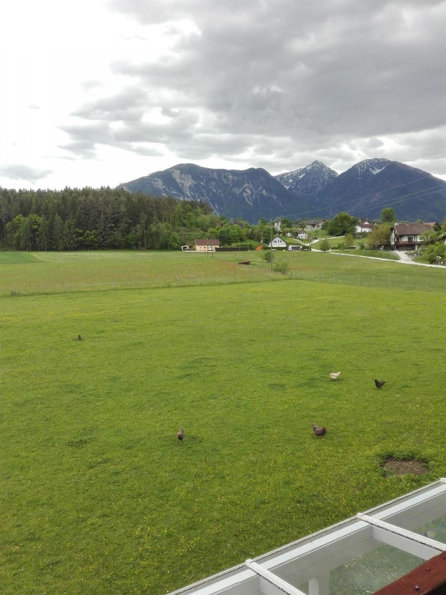 Bauernhof-Pension Puschnikhof Unternarrach エクステリア 写真
