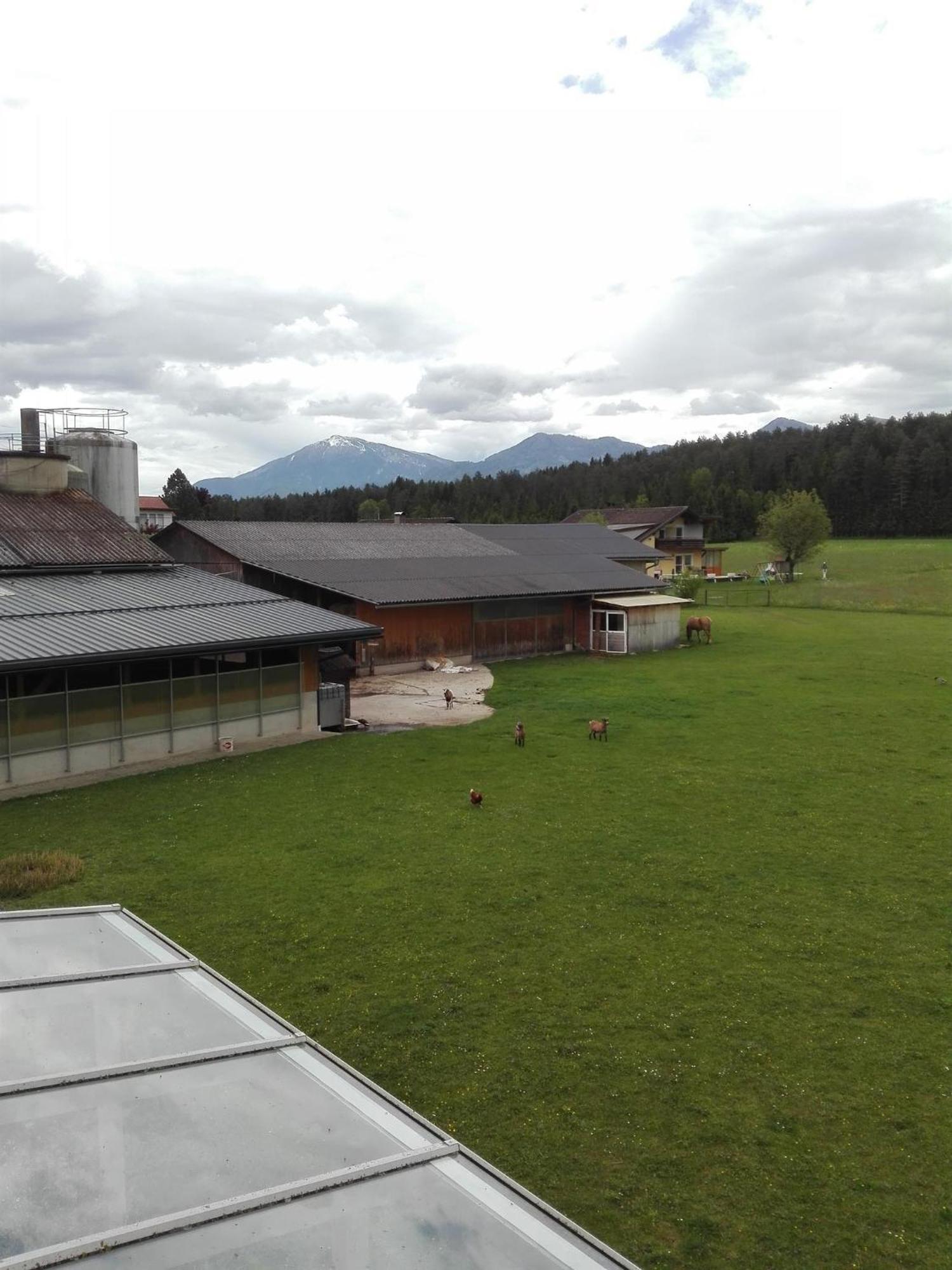 Bauernhof-Pension Puschnikhof Unternarrach エクステリア 写真