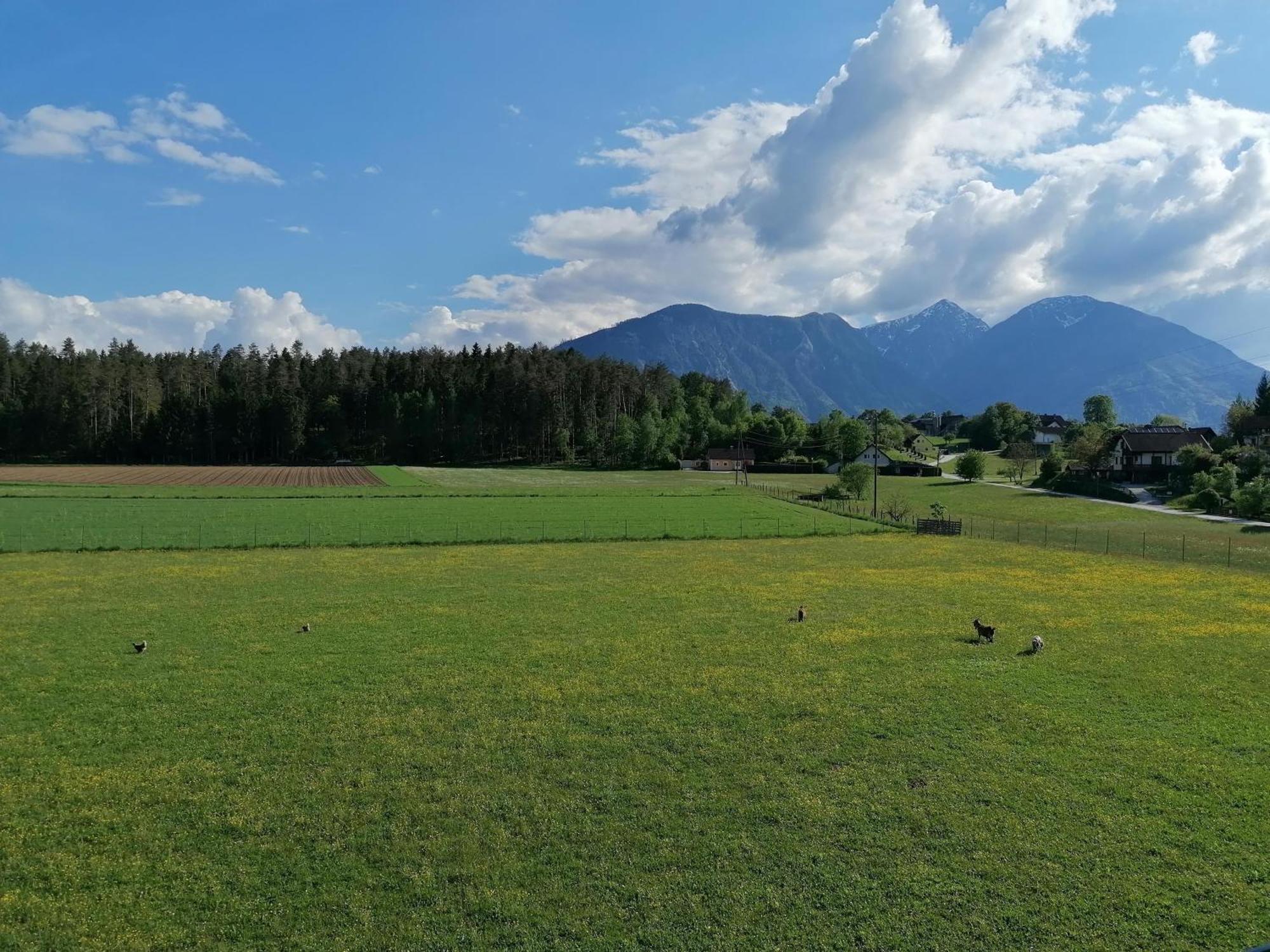 Bauernhof-Pension Puschnikhof Unternarrach エクステリア 写真