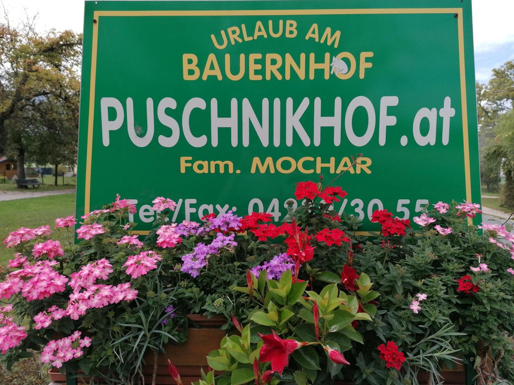 Bauernhof-Pension Puschnikhof Unternarrach エクステリア 写真