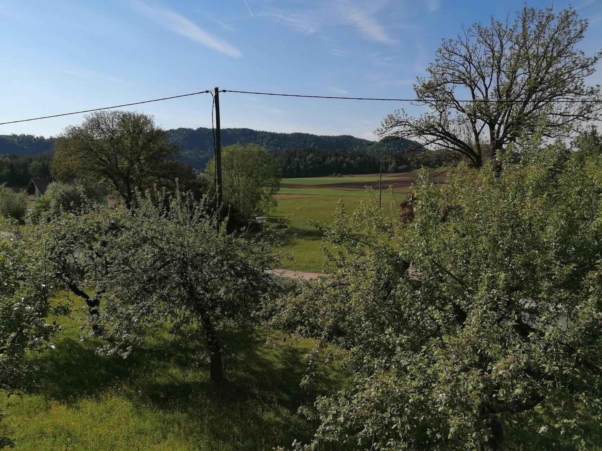 Bauernhof-Pension Puschnikhof Unternarrach エクステリア 写真